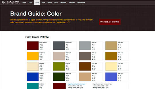 brandguide_prototype
